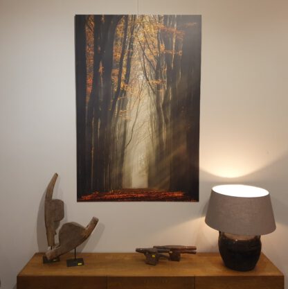 Dibond schilderij Herfst Bomen